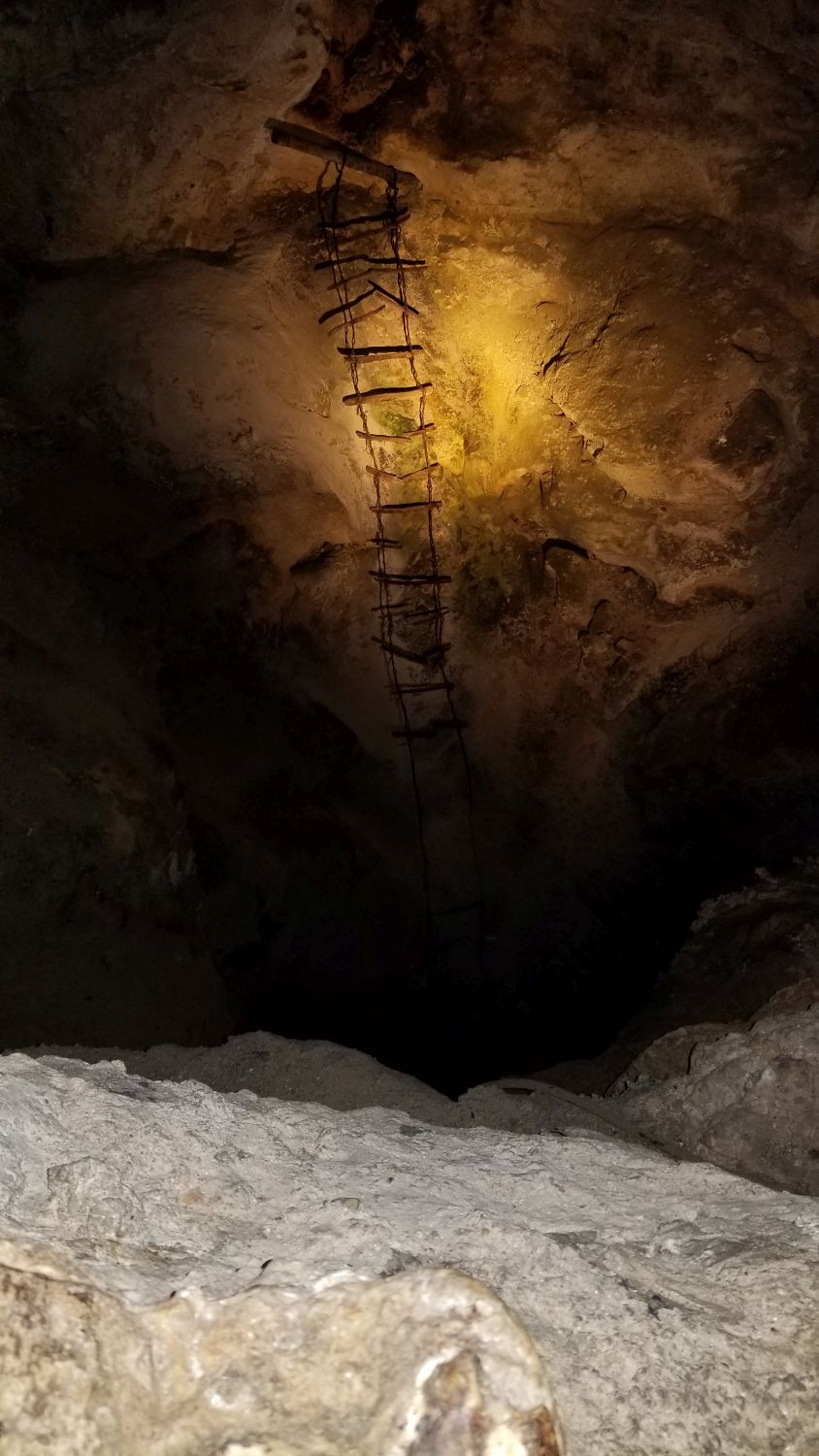 Carlsbad Caverns 